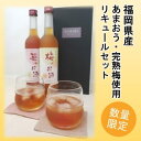 【ふるさと納税】【数量限定】濃いめのお酒 飲み比べ 500ml×2本セット（苺のお酒/梅のお酒）　【お酒・洋酒・リキュール】