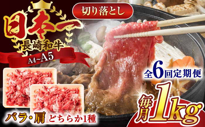 
            【全6回定期便】【A4～A5】長崎和牛切り落とし　1kg(500g×2p）【株式会社 MEAT PLUS】 [QBS049]
          