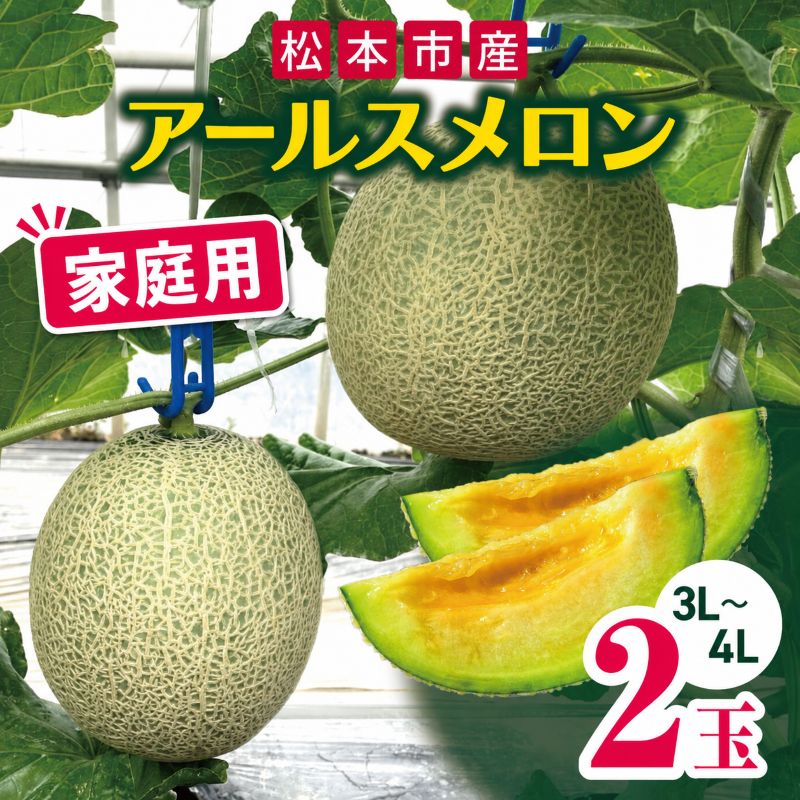 【ふるさと納税】【先行受付：9月発送】松本市産 アールスメロン 2玉 家庭用 ｜ふるさと納税 果物 くだもの フルーツ めろん アールスメロン メロン 長野県 松本市 2玉 ( 3L ～ 4L )