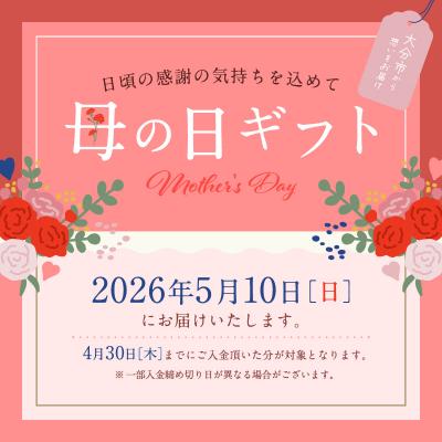 ふるさと納税 大分市 【母の日】K10あこや本真珠ネックレス 真珠8.0mm≪5月10日お届け≫_R14123-W-H |  | 03