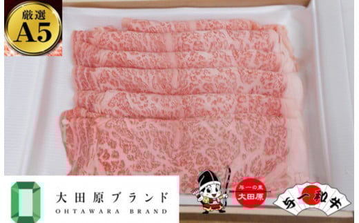 
            大田原市公式「大田原ブランド」認定第1号「与一和牛」特選すきしゃぶスライス400ｇ
          