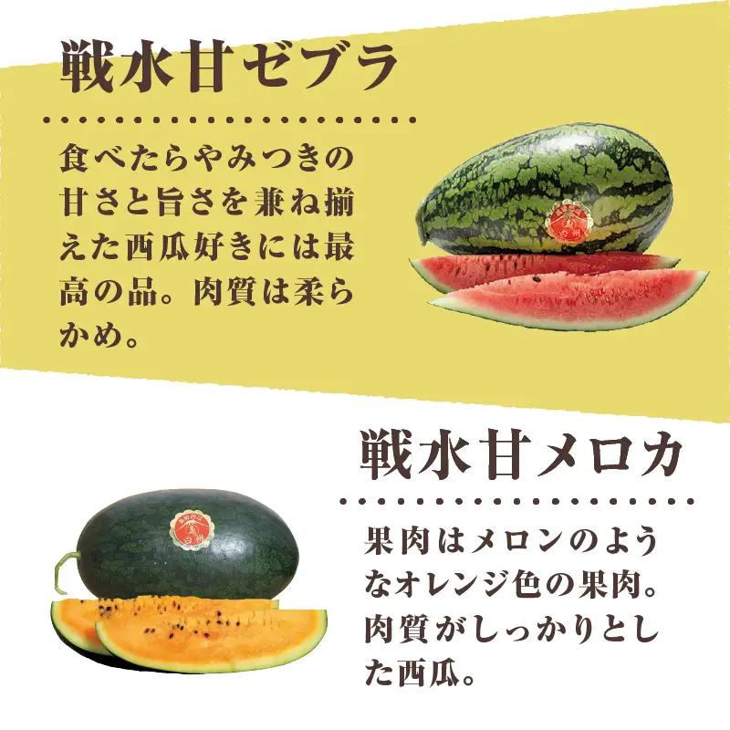 【2026年先行予約】北杜市白州産すいか「すいかばか！」のこだわりの特選すいか 戦水甘シリーズ中から1玉 [h047]