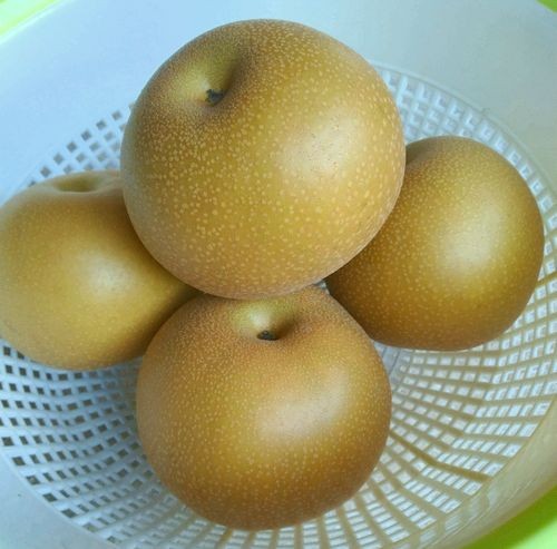 埼玉県宮代町の深井梨園で生産された、みずみずしいあきづきです。旬の和梨5kgをお届けします。