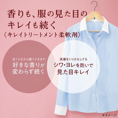 ふるさと納税 堺市 ソフランアロマリッチ　ダイアナ　つめかえ用750ml×6 |  | 01