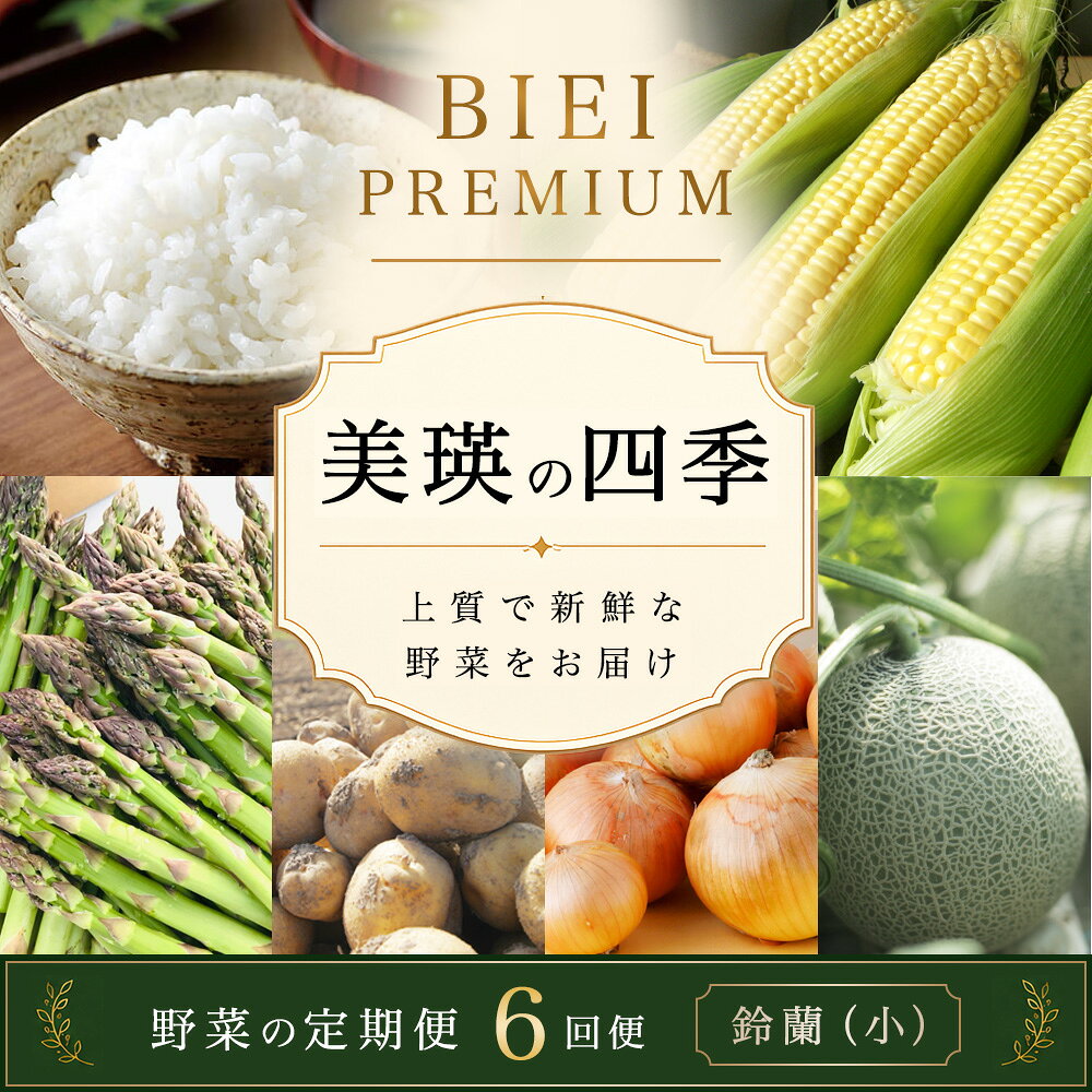 【先行予約】令和9年産【ふるさと納税】野菜 定期便 6回便 美瑛の四季～鈴蘭～ 美瑛米 アスパラ メロン とうもろこし じゃがいも 玉ねぎ | 米 ななつぼし お米 コメ アスパラ とうもろこし めろん 食べ比べ セット 玉ねぎ 人気 おすすめ 芋 イモ じゃがいも ジャガイモ 野菜