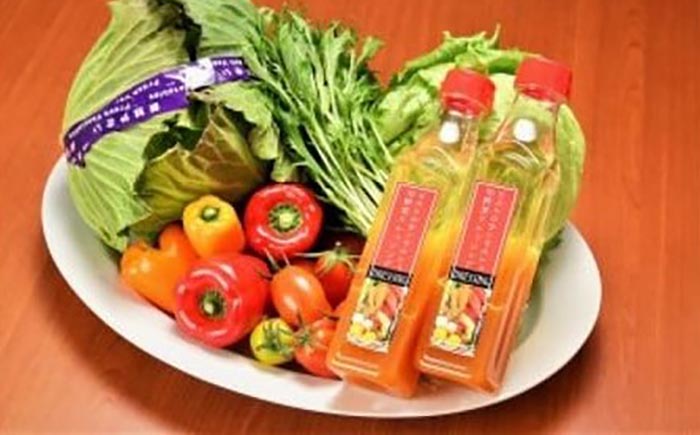 【シェフの目線】栽培期間中農薬不使用！旬のお野菜セット×手作り玉ねぎドレッシング（2本）　愛媛県大洲市/有限会社ヒロファミリーフーズ [AGBX002]野菜 サラダ カレー 農業 トマト 料理 きゅう