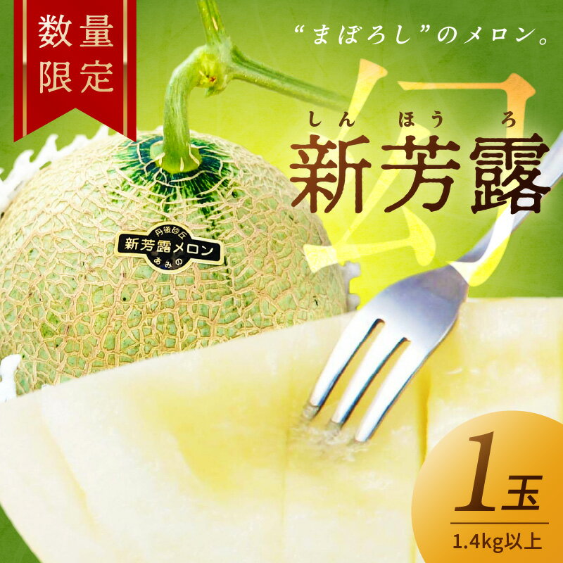 【ふるさと納税】2026年夏発送【先行予約／数量限定15】新芳露メロン1玉(2026年7月中旬～発送) 　国産 旬 めろん ふるさと 納税 メロン 1玉 ふるさと 納税 先行予約 期間限定 ふるさと 納税 フルーツ くだもの 果物 先行申込