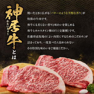 佐藤さんちの 神居牛 万能切り落とし 500g 【 良質な脂 お祝い 牛肉 ブランド 肉 すき焼き しゃぶしゃぶ 焼肉 冷凍 贈り物 お取り寄せ 北海道 清水町  】_S013-0001