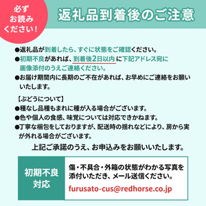 ぶどう 先行予約 種なし 巨峰 約2kg 箱 3～6房入り 果物 ブドウ 葡萄 フルーツ デザート おやつ 信州 2024年秋発送