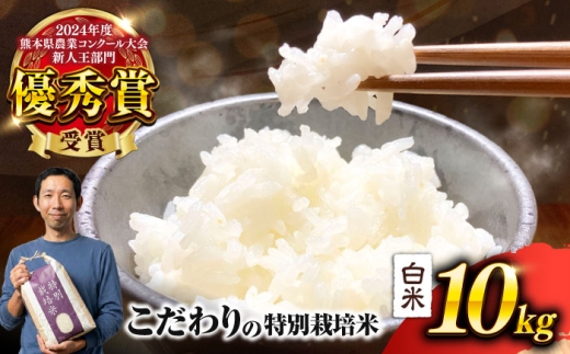 【令和7年度】 くまさんの輝き 白米 10kg (1袋)  米 お米 白米 お米 10kg 10キロ ごはん ライス こめ 精米 ブランド米 くまさんの輝き 10kg 10ｷﾛ 熊本県産 合志市 産地直送 送料無料【坂本農園】 [AYCC035]