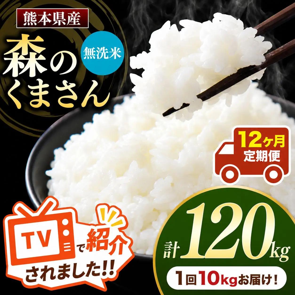 【 定期便 12回 】 R7年産 熊本県産 無洗米 森のくまさん 10kg