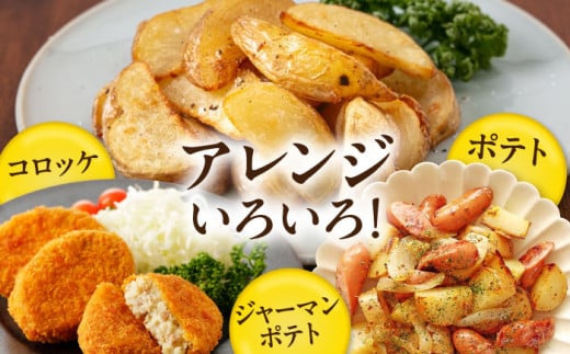 キタアカリ・玉ねぎセット 計20kg 北海道 じゃがいも ジャガイモ 玉ねぎ キタアカリ 季節の野菜 産地直送