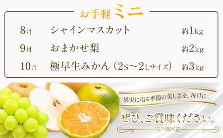 旬の フルーツ 定期便 3ヶ月連続 秀品 ミニ 計6㎏ 日本フルーツ株式会社《8月上旬-10月末頃出荷》熊本県 荒尾市 シャインマスカット おまかせ 梨 極早生みかん 果物 フルーツ スイーツ デザー