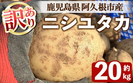 
                  ＜先行予約受付中！2026年6月以降順次発送予定＞訳あり！じゃがいも ニシユタカ(20kg) 国産 鹿児島県産 阿久根市産 じゃがいも ジャガイモ 芋 ポテト にしゆたか 訳アリ 野菜 ポテトサラダ コロッケ 常温 常温配送 【慶越農園】akn107-08
                