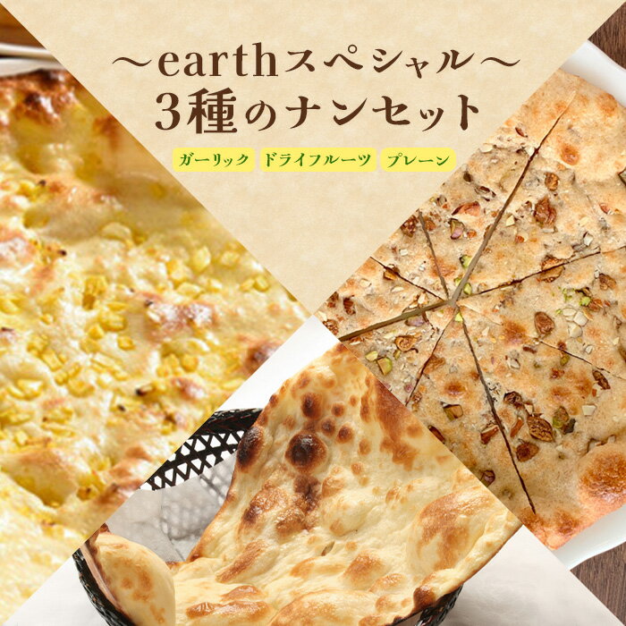 【ふるさと納税】earthスペシャル3種のナンセット ナン セット 食べ比べ 国産小麦 北海道小麦 プレーンナン ガーリックナン ドライフルーツナン プレーン ガーリック ドライフルーツ 冷凍 冷凍食品 北海道 ふるさと納税 恵庭市 恵庭【65002201】