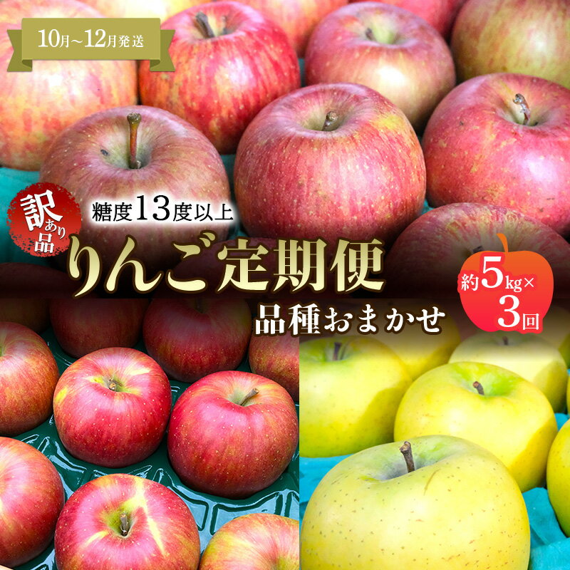 【ふるさと納税】【10月～12月発送 りんご定期便】糖度13度以上 家庭用訳あり りんご 約5kg × 3回 家庭用訳ありコース【青森りんご】 リンゴ 林檎 訳あり 家庭用 果物 フルーツ 青森県 鶴田町　お届け：2026年10月～12月