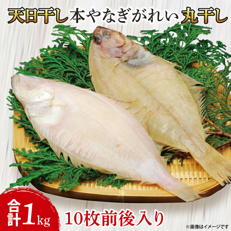【ふるさと納税】天日干し 本やなぎがれい干し 1kg【カレイ かれい 干物 ひもの 魚 おかず おつまみ 食品 名物 冷凍 茨城県 北茨城市】（AI204）
