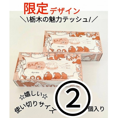 
＜2箱入り＞使い切りパック!栃木の魅力ティッシュボックス　150w×2箱　※配送不可地域:離島・沖縄【1454524】
