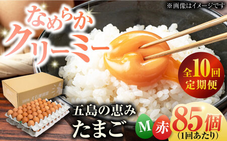 【10回定期便】【箱入り】五島の恵みたまご Mサイズ 85個入 / 卵 赤玉子 五島市 / 五島列島大石養鶏場[PFQ016]  玉子 タマゴ 鶏卵 希少 五島列島
