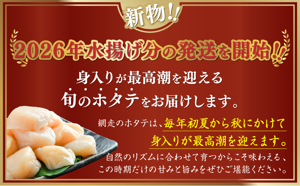 網走前浜産 無添加ホタテ貝柱【 500g (500g×1) 】 ABAI038