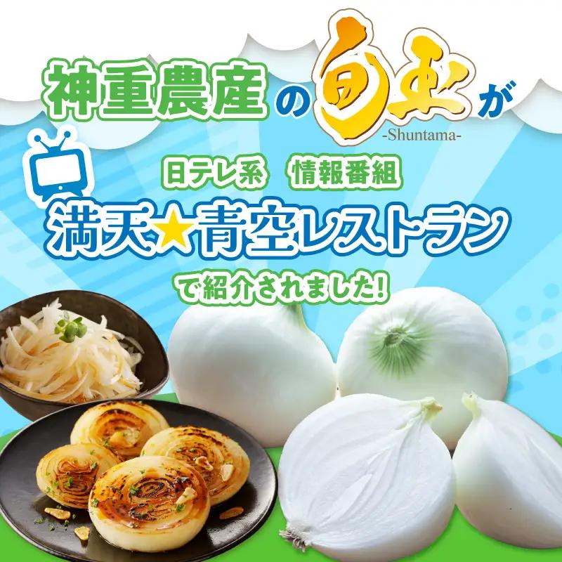 【5/31まで受付】(2027年発送) ≪『満天☆青空レストラン』で紹介されました！≫ 訳あり 新玉ねぎ 生がおいしい 神重農産のブランド玉ねぎ「旬玉」5kg ブランド玉ねぎ 玉ねぎ 国産 愛知県産 