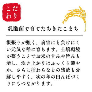 令和7年産 あきたこまち 白米 約27kg 秋田県産 湯沢市産 新米 お米 白米 国産 ご飯【BARUバイオジャパン吉村】[Q6-9901]