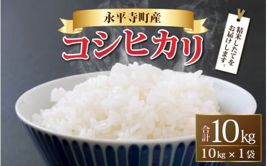 【先行予約】【白米】 令和７年度産 永平寺町産 コシヒカリ 10kg 【10月上旬より順次発送開始予定】米 精米 米 お米 コメ 送料無料 こしひかり 福井 [B-033005]