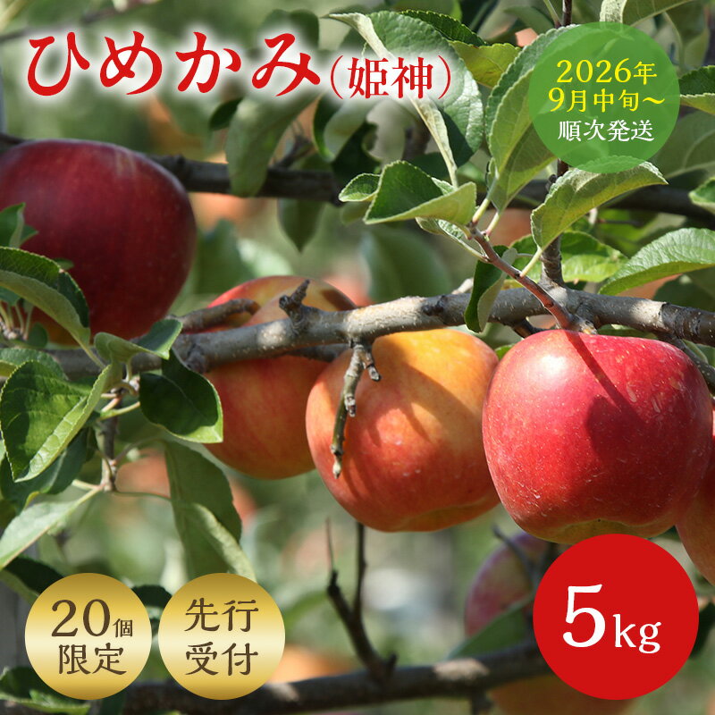 【ふるさと納税】＜先行予約＞ 早期発送 りんご ひめかみ 5kg 早生 旬 果物 フルーツ リンゴ 林檎 アップル くだもの 宮城県 大河原町 数量限定 送料無料　お届け：2026年9月中旬から
