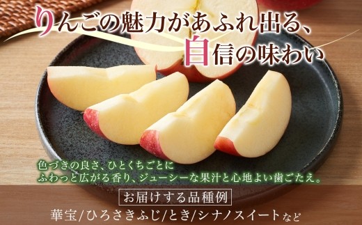 りんご2kg（品種お任せ） 5～8玉