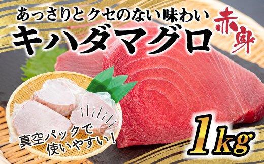 【訳あり】大満足のもちもちキハダマグロ赤身1ｋｇ！！　TY0271