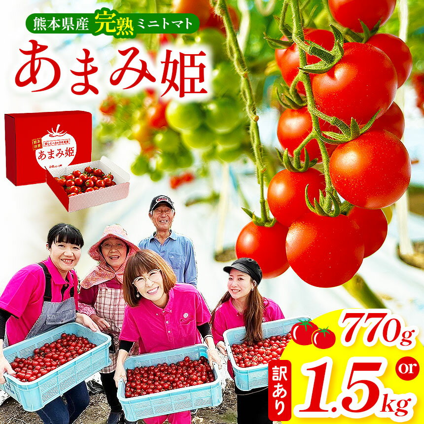 【ふるさと納税】選べる 内容量 熊本県産 完熟ミニトマト「あまみ姫」770g or 【訳あり】 1.5kg | 野菜 やさい トマト とまと アイコ 人気 生産者直送 産地直送 熊本県 玉名市