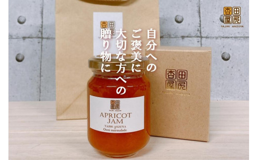 ジャム 田尻あんずのアプリコットジャム 120g 3個入り 広島県福山市/田尻杏屋 あんず アプリコット 杏 フルーツ 果物 [BAEK001]