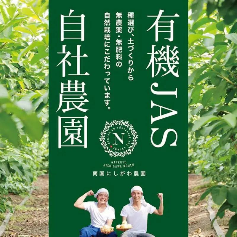【グァバ茶】土佐國グァバ茶 (2g×5包) 3個セット 国産有機栽培の葉100％