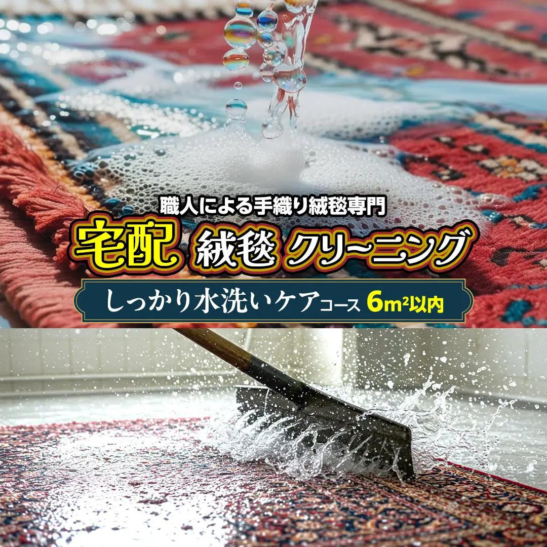 宅配 絨毯 クリーニング チケット │ しっかり水洗いケアコース（6平米以内）約200cm×300cm 絨毯クリーニング 宅配クリーニング ラグ カーペット シミ抜き
