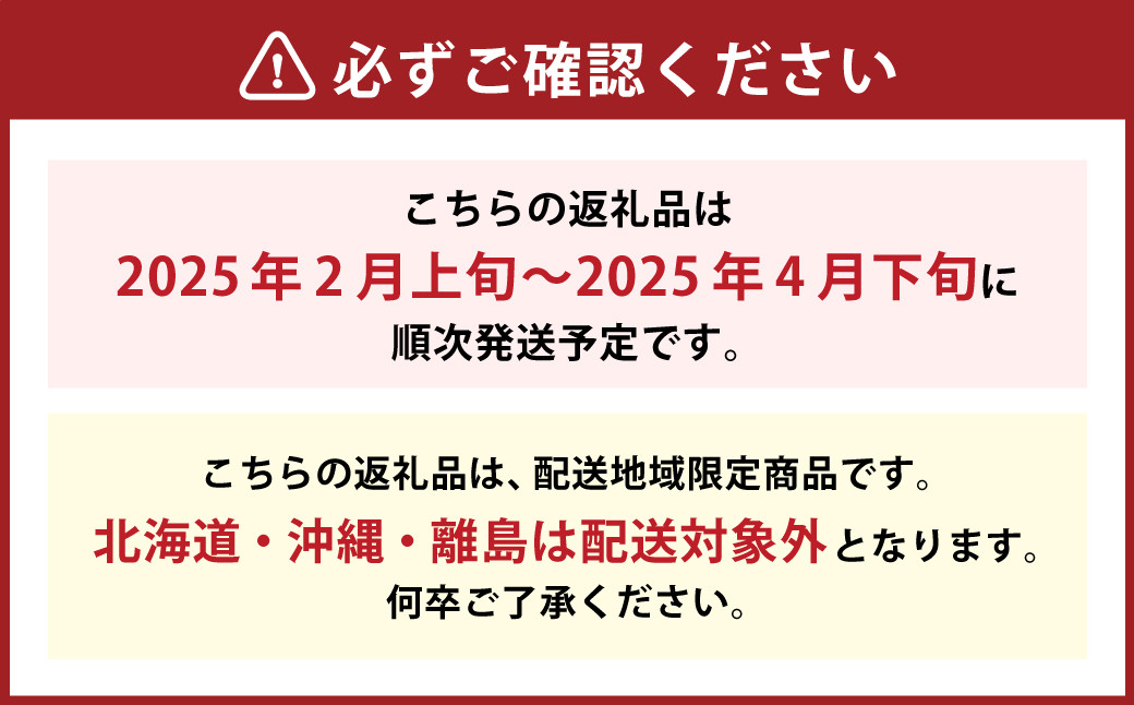 博多あまおう（春）4パック