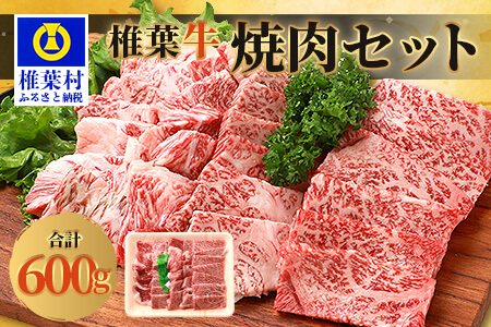 宮崎県産 椎葉牛 焼肉セット 600g A5等級指定 ［宮崎県 椎葉村 国産 国産牛 黒毛和牛 和牛 牛 牛肉 赤身 肉 お肉 A a5 A5  焼肉 焼肉セット  バーベキュー］【TK-23】