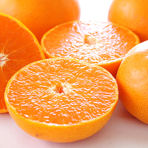 せとか ＜秀品＞(2L-3L / 5-6玉）贈答用化粧箱入り | みかん せとか 秀品 せとか  柑橘 せとか みかん せとか 贈答用 せとか みかん せとか みかん おすすめ せとか みかん せとか