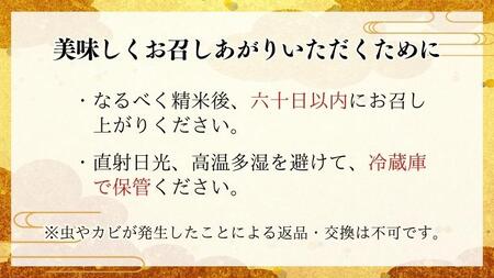 【 3ヶ月 定期便 】 令和6年産 『 にじのきらめき 』10kg ( 5kg × 2袋 ) × 3回 ( 合計 30kg ) 白米 精米 国産 茨城県 桜川市 お米 米 おこめ おコメ ごはん [S