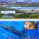 【ふるさと納税】もとぶ町を散策【体験】プラン　4名（本部町ガイドツアー・美ら海水族館・ランチ付）