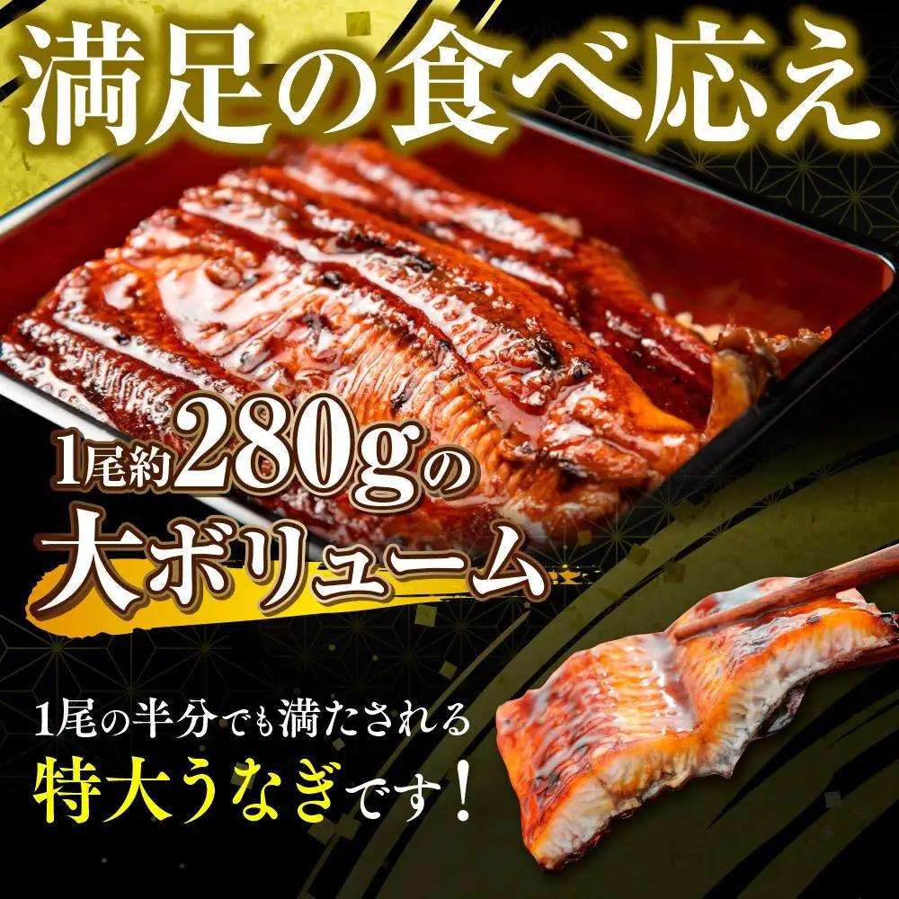 うなぎの蒲焼4尾 タレ付き（3本） YZ003 