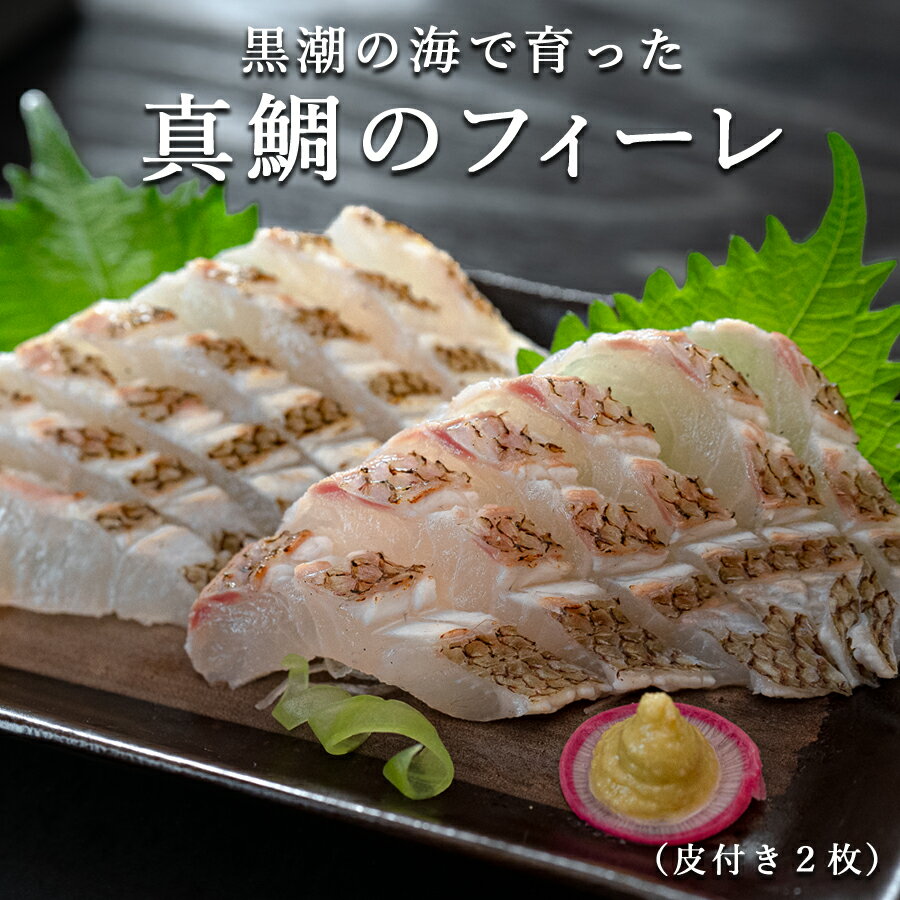 【ふるさと納税】真鯛 フィーレ 皮つき 計500～740g｜即日発送 配達日指定可 柏島 たい 鯛 フィレ 半身3枚おろし 産地直送 冷蔵 真空パック 活〆 皮目 香ばしい 海鮮丼 鯛めし 塩焼き 湯引き 炙り はやぶさ水産 高知県 大月町産