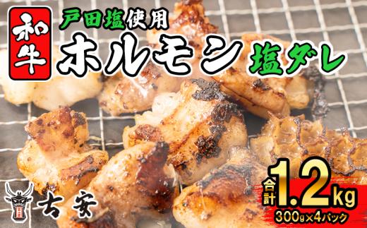 
和牛 ミックス ホルモン 戸田 塩ダレ 1.2kg 300g 4パック 焼肉 小分け 古安
