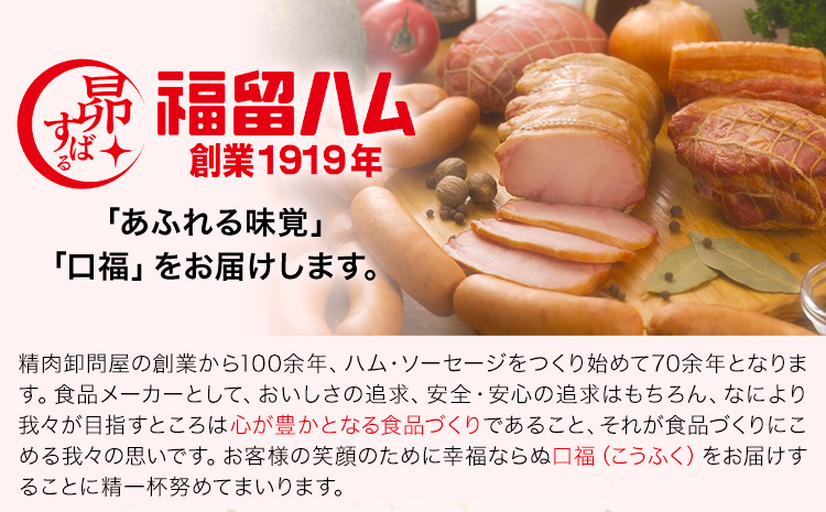 ベーコンブロック 12個 (1個約900g) 計10.8kg ベーコン ブロック 豚バラ 福留ハム JAS標準商品 冷蔵 国内製造 送料無料 《30日以内に出荷予定(土日祝除く)》