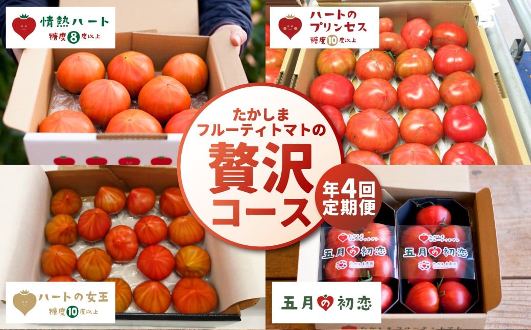 たかしまフルーティトマトの贅沢コース 【年4回定期便 （2月／3月／4月／5月配送）】 ／ 情熱ハート ハートのプリンセス ハートの女王 五月の初恋 合計約7.2kg フルーティートマト フルーツトマト トマト とまと 野菜 やさい