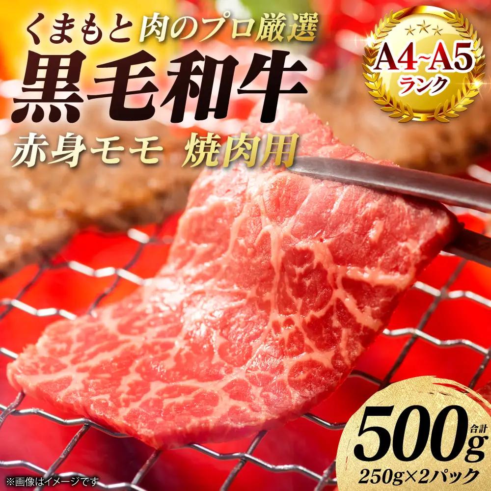 牛肉 くまもと黒毛和牛 赤身 モモ 焼肉用 500g （250g×2パック） A4～A5ランク 牛肉