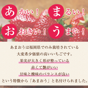 【ふるさと納税】暖家のいちご 完熟あまおう 贈答用4パック [a9405] 社会福祉法人猪位金福祉会 暖家の丘 ※配送不可：北海道・沖縄・離島【返礼品】添田町 ふるさと納税