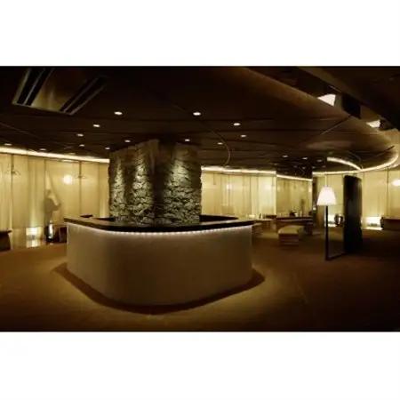 ラグジュアリーな空間で受ける癒やしの人間ドック+脳ドック(胃透視検査+お食事+トリートメント付き)【1178612】