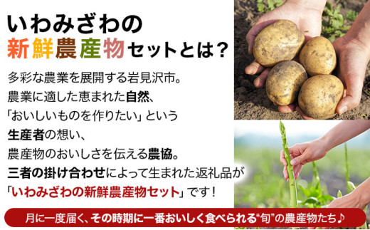 ＜先行予約＞いわみざわの新鮮農産物セット(5or6月～11月 全6回)※定期便【11106】