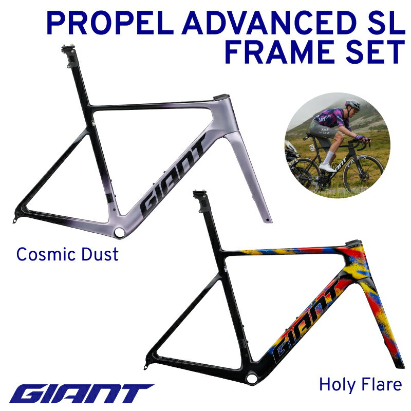 【ふるさと納税】 【フレームのみ】GIANT PROPEL ADVANCED SL FRAMESET｜選べるカラー ジャイアント ロードバイク 自転車 レース カーボン 東レ