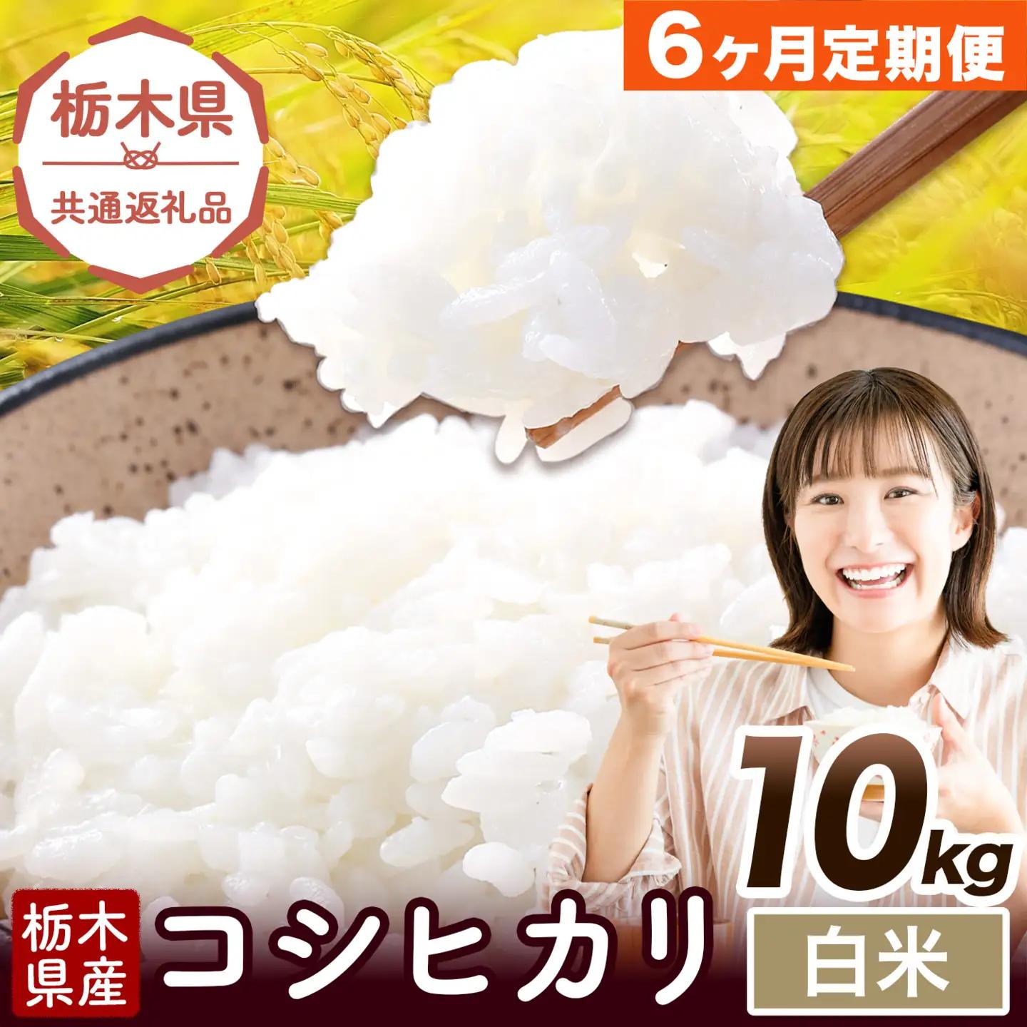 【6ヶ月定期便】米 栃木県産 コシヒカリ 白米 10kg《お申込み翌月から出荷》栃木県 野木町 米 白米 精米 国産 お米 おこめ お弁当 おにぎり【栃木県共通返礼品】